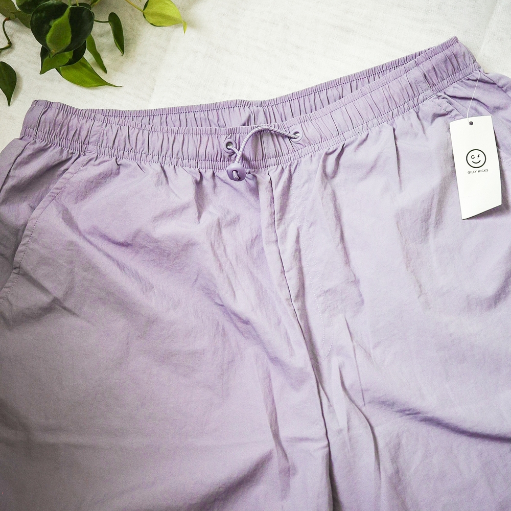 Hollister Gilly Hicks Lilac Relaxed Pants
